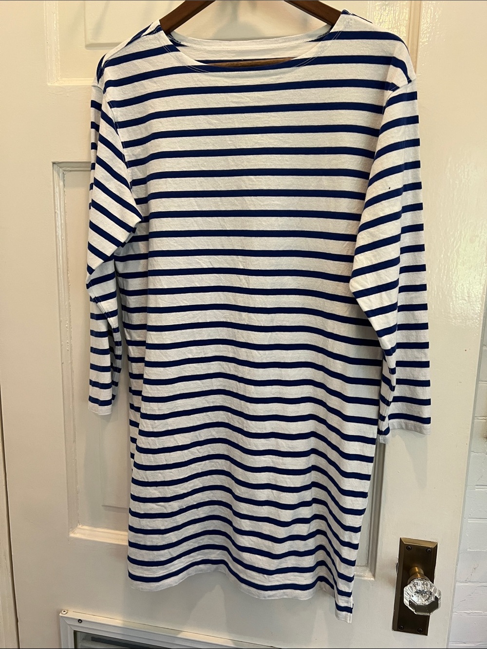 Everlane Striped Blue and White L/S dress